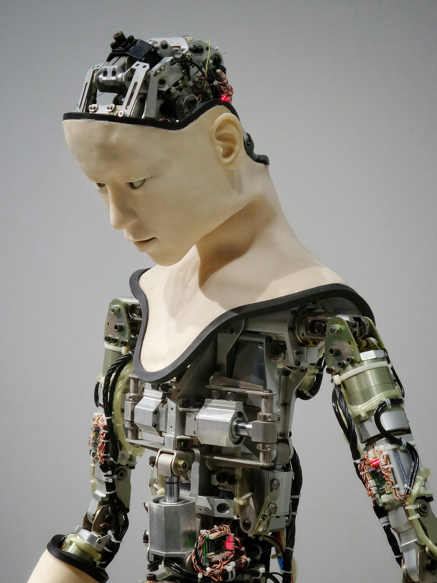 🧠 The Role of AI in Everyday Technology